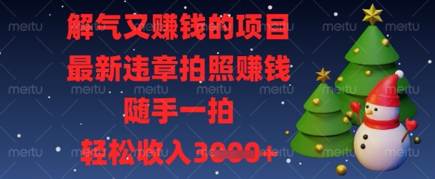 解气又挣钱的项目，最新违章拍照挣钱，随手一拍，轻松收入数张【揭秘】-迦哆网创社