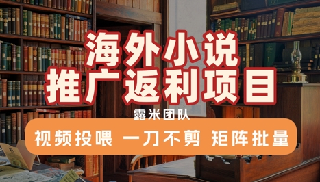 海外小说推广返利项目，视频投喂， 一刀不剪，矩阵批量-迦哆网创社