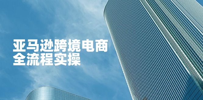 亚马逊跨境电商全流程实操，教你从零开始，掌握店铺运营与广告技巧-迦哆网创社