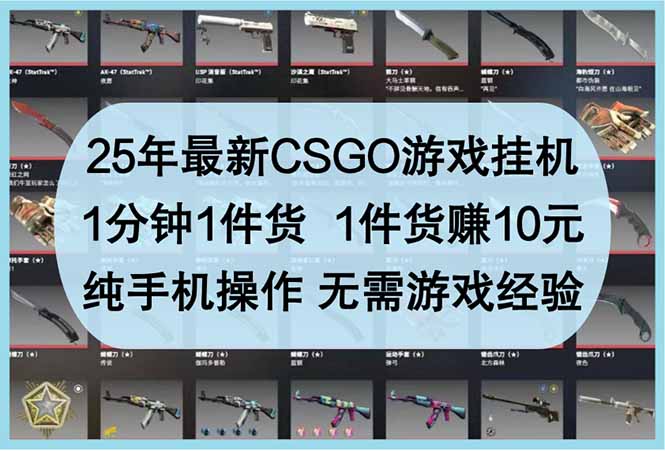 25年最新CSGO游戏挂机，1分钟1件货，1件货赚10元 纯手机操作 无需游戏经验-迦哆网创社