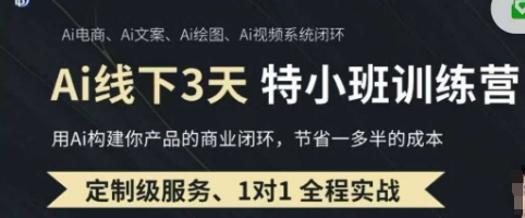 AI实操培训第20-21期线下，0基础保姆级教程，3月最新整理，企业获客、降本增效、打造超级个体-迦哆网创社