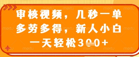审核视频，几秒一单，多劳多得，新人小白一天轻松3张【揭秘】-迦哆网创社
