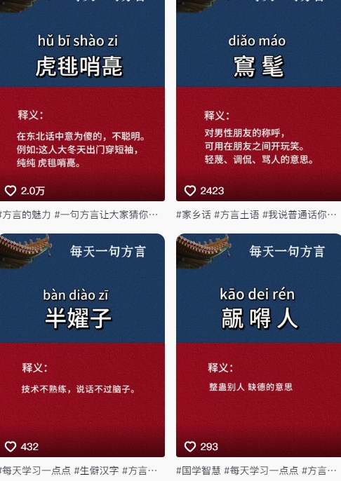 抖音最新涨粉玩法，图文方言暴力涨粉实操，126作品涨粉11W-迦哆网创社