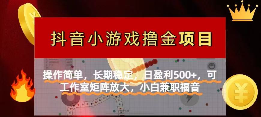 【抖音小游戏发行人计划项目】操作简单，长期稳定，日盈利500+，可工作…-迦哆网创社