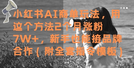 小红书AI商单玩法，用这个方法2个月涨粉7W+，新手也能接品牌合作(附全套指令模板)-迦哆网创社