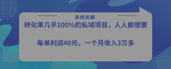 转化率最高的私域项目，每单利润40-50米，月入过1w-迦哆网创社