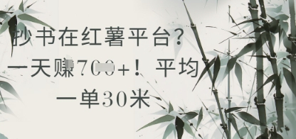 抄书在小红薯平台？平均一单30米，一天收益几张！-迦哆网创社