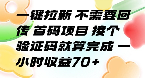 一键拉新 不需要回传 首码项目 接个验证码就算完成 一小时收益70+【揭秘】-迦哆网创社