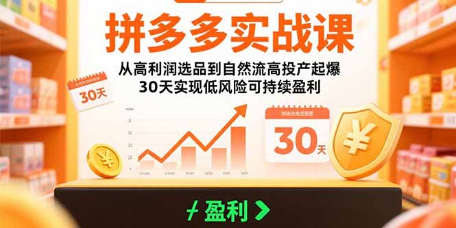 拼多多实战课：从高利润选品到自然流高投产起爆 30天实现低风险可持续盈利-迦哆网创社