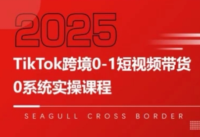 大亿老师·TikTok跨境0-1短视频带货-迦哆网创社