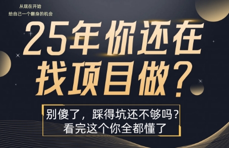 25年，你还在疯狂的找项目吗？别傻了，看完这个你都懂了【揭秘】-迦哆网创社