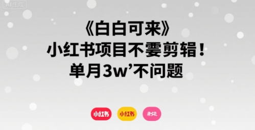 小白可来 小红书项目不需要剪辑 单月3w不是问题-迦哆网创社