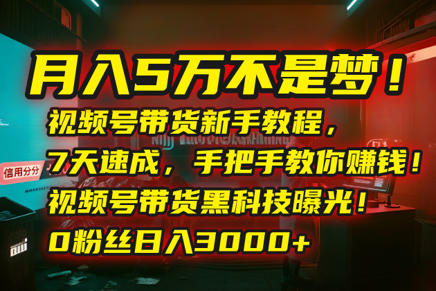 月入5万不是梦！视频号带货新手教程，7天速成，手把手教你赚钱！视频号…-迦哆网创社