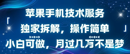 苹果手机技术服务，独家拆解，操作简单，小白可做，月过1W不是梦-迦哆网创社