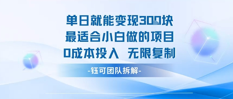 单日就能变现3张最适合小白做的项目0成本投入 无限复制-迦哆网创社