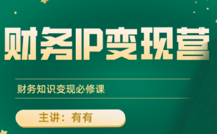 有有老师·财务IP变现营，财务知识变现必修课-迦哆网创社