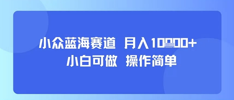 小众蓝海赛道，小白可做，操作简单，每天30分钟，月入1W+-迦哆网创社