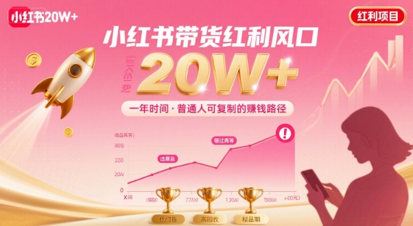 一年时间靠小红书带货项目年入20w+，最不能错的大红利项目-迦哆网创社