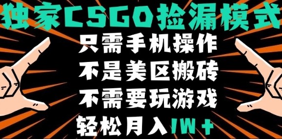 CSGO自动捡漏项目，最新独家玩法，不是美区搬砖，不需要了解和玩游戏，新手小白轻松月入1W+【揭秘】-迦哆网创社