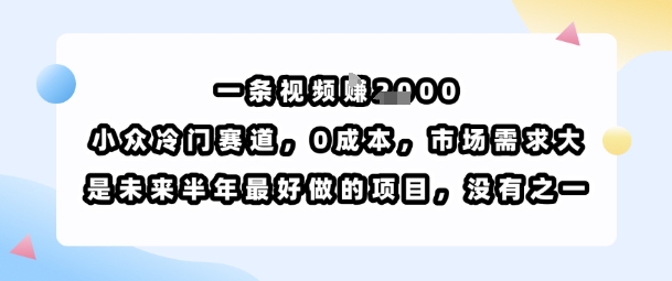 一条视频挣1k，小众冷门赛道，0成本，市场需求大，是未来半年最好做的项目，没有之一-迦哆网创社