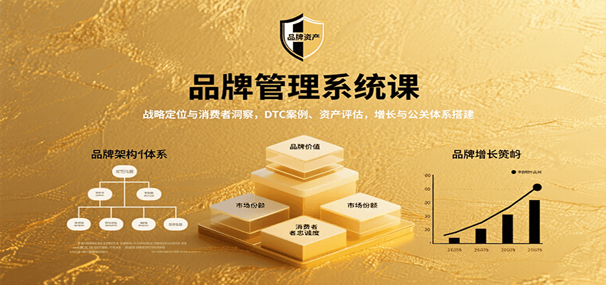 品牌管理系统课：战略定位与消费者洞察，DTC案例、资产评估，增长与公关体系搭建-迦哆网创社