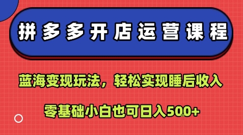 拼多多开店运营课程：蓝海变现玩法，轻松实现睡后收入，零基础小白也可日入5张-迦哆网创社