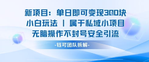 新项目单日即可变现3张的小白玩法无脑操作不封号安全引流-迦哆网创社