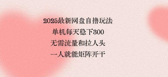 2025最新网盘自撸玩法，单机每天稳下3张，无需流量和拉人头，一个人就可轻松矩阵，全网独一份【揭秘】-迦哆网创社