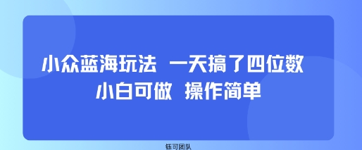 小众蓝海玩法 一天搞了四位数 小白可做 操作简单-迦哆网创社