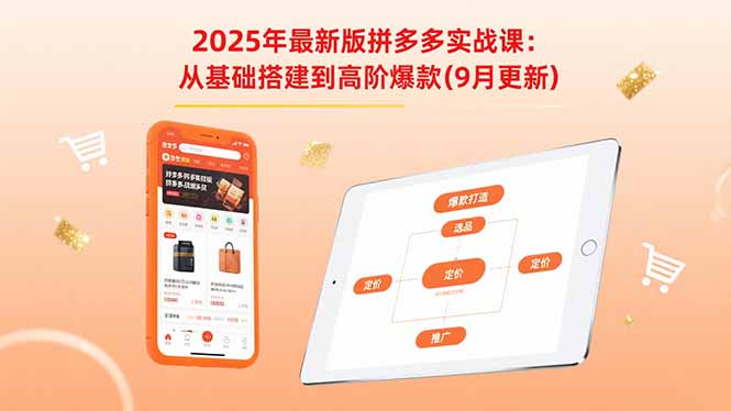 2025年最新版拼多多实战课：从基础搭建到高阶爆款(9月更新-迦哆网创社