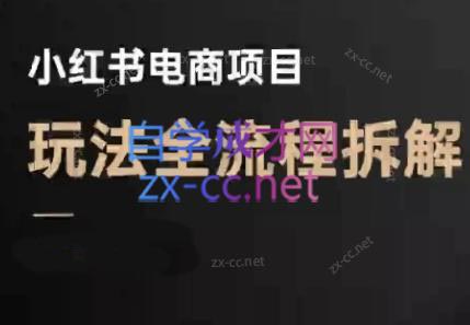 菲菲老师·小红书电商玩法(更新9月)-迦哆网创社