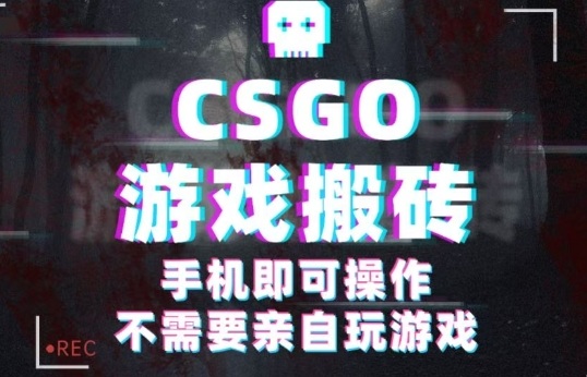 CSGO游戏挂G捡漏，单日扫货5张+，年底小高峰上车可吃肉，手机即可操作，兼职副业创业网创【揭秘】-迦哆网创社