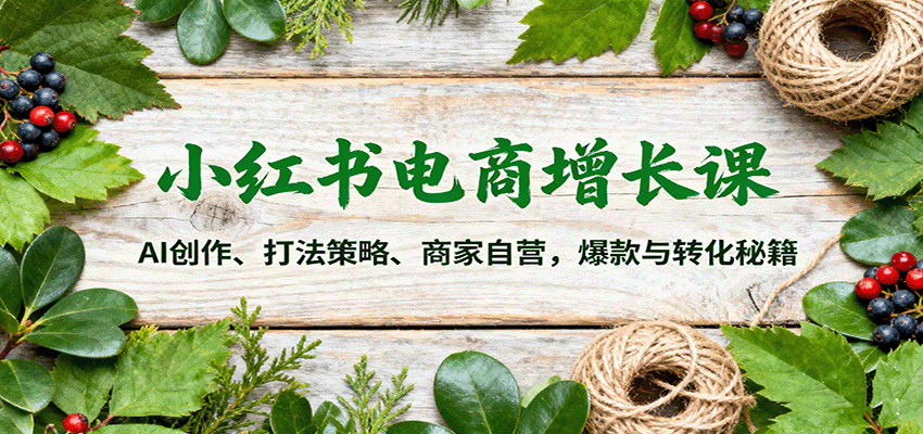 小红书电商增长课：AI创作、打法策略、商家自营，爆款与转化秘籍-迦哆网创社