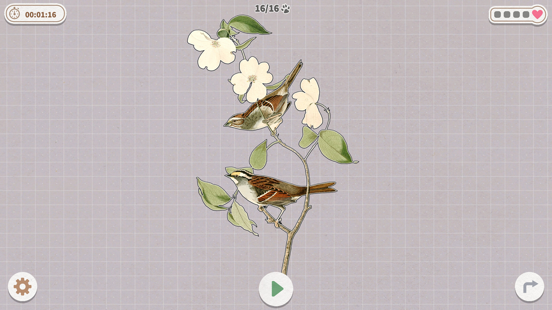 《挤在一起的鸟鸟/Birds Huddled Together》PC中文版下载-含Build.14298719-迦哆网创社