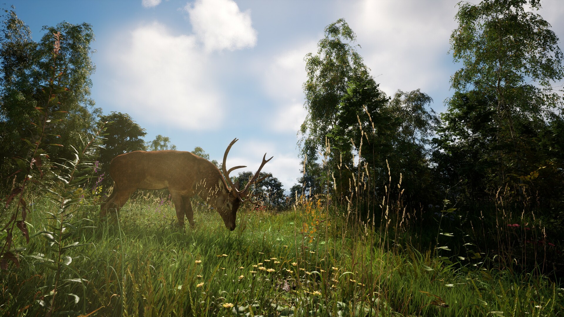 《恐惧地带/DREADZONE》PC中文版下载-含v1.5.5.1-迦哆网创社