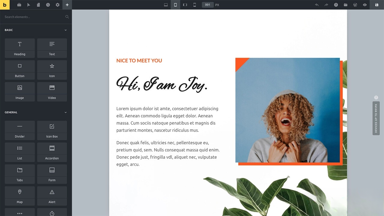 WordPress主题Bricks v1.9 破解版-迦哆网创社