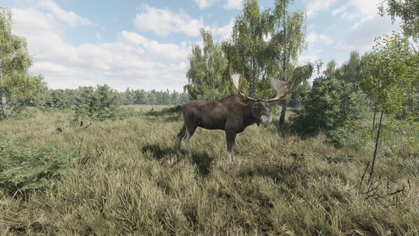 《猎捕行动/On the Hunt》PC中文版下载-含Build.20557498-迦哆网创社