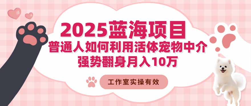 2025蓝海项目：普通人如何利用活体宠物中介，强势翻身月入10万-迦哆网创社