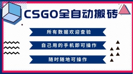 CSGO全自动搬砖,年底钱回家好项目,当天可拿到结果,新手小白轻松月入1W+【揭秘】-迦哆网创社