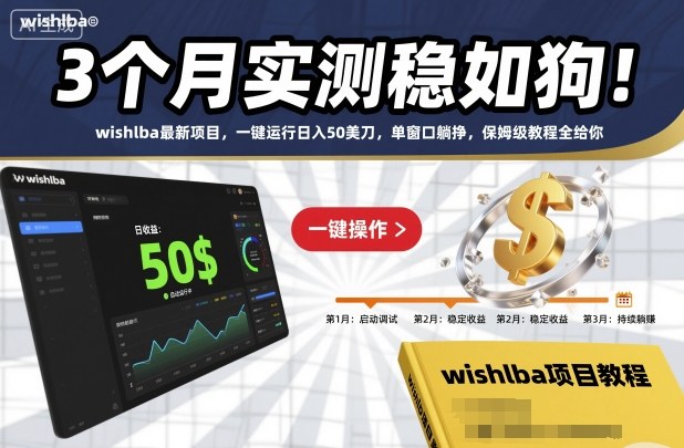 3个月实测稳如狗！wishlba最新项目，一键运行日入50美刀，单窗口躺挣，保姆级教程全给你【揭秘】-迦哆网创社