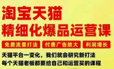 淘宝天猫精细化爆品运营课，免费流量打法-付费广告放大-利润增长-三大核心痛点，一次全部解决-迦哆网创社