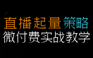 半野老师·直播带货起量与微付费必学课视频号-迦哆网创社