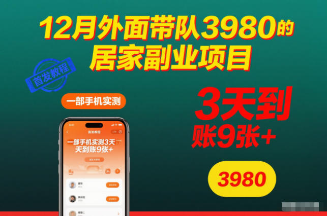 12月外面带队3980的居家副业项目,一部手机实测3天到账9张+,首发教程【揭秘】-迦哆网创社
