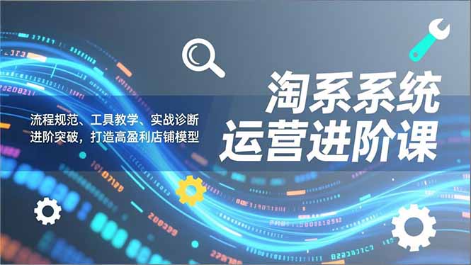 淘系系统运营进阶课2.0，流程规范、工具教学、实战诊断，进阶突破，打造高盈利店铺模型-迦哆网创社