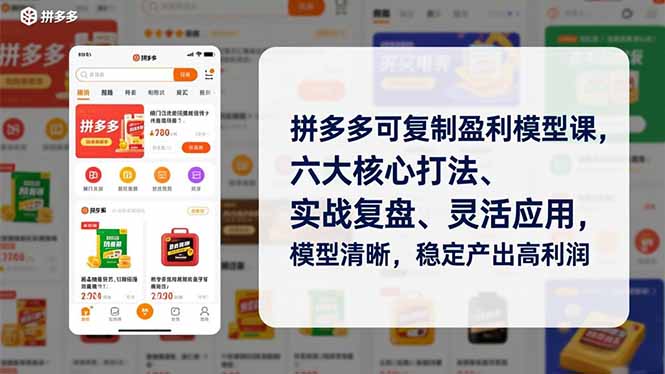 拼多多可复制盈利模型课，六大核心打法、实战复盘、灵活应用，模型清晰，稳定产出高利润-迦哆网创社