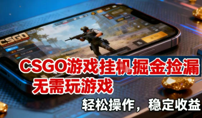 CSGO游戏挂G掘金捡漏，不需要玩游戏，操作简单，收益稳定【揭秘】-迦哆网创社