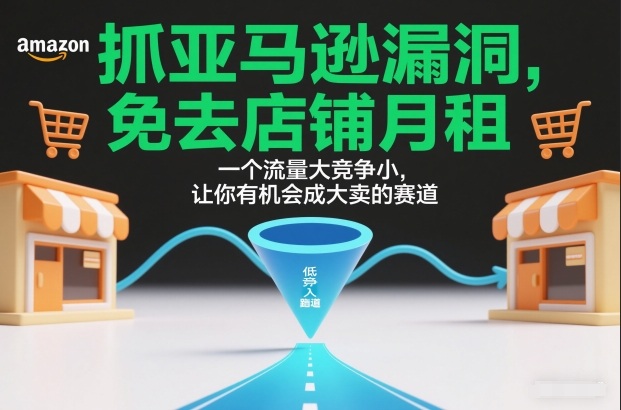 抓亚马逊漏洞，免去店铺月租，一个流量大竞争小，让你有机会成大卖的赛道-迦哆网创社