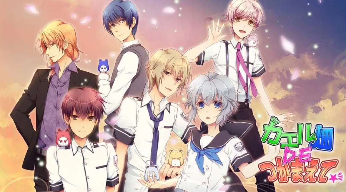 《蛙畑奇事 カエル畑DEつかまえて 乙女》Switch日文版XCI下载 – 含1.0.0补丁-迦哆网创社