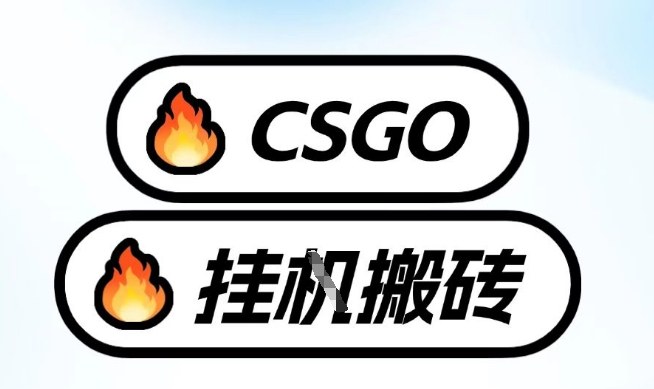真全网独家CSGO挂G，最新玩法,单日捡漏1K+，不用电脑，不用打游戏【揭秘】-迦哆网创社