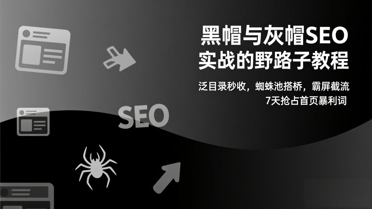 黑帽与灰帽SEO实战的野路子教程：泛目录秒收，蜘蛛池搭桥，霸屏截流，7天抢占首页暴利词-迦哆网创社